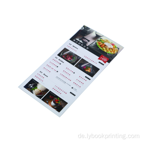 Professioneller Druck A4 Flyer und Ordner